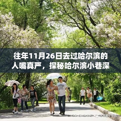 探秘哈尔滨小巷美食，揭秘独特风味，揭秘秘密美食店——11月26日的记忆