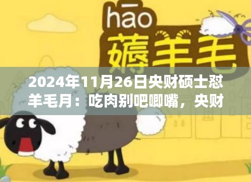 央财硕士热议羊毛月投资智慧，警惕贪婪，探寻智慧投资之道