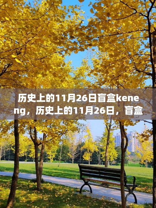 历史上的11月26日盲盒神秘时刻揭秘