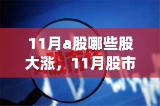 11月股市狂欢日，友情共舞的大涨盛宴，哪些股成为最大赢家？