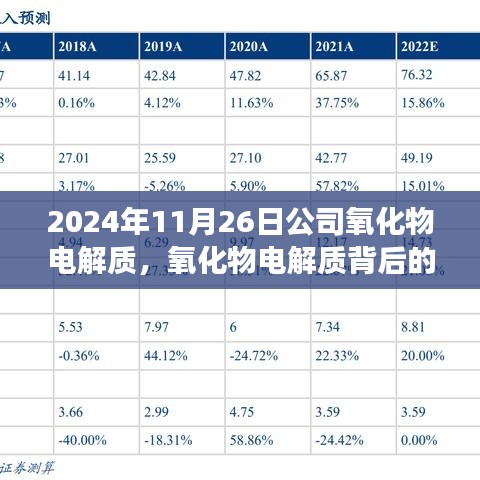 氧化物电解质背后的温馨日常，一场奇妙的友情之旅（公司氧化物电解质）