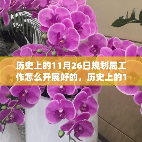 历史上的11月26日规划局工作怎么开展好的，历史上的11月26日，规划局如何开启一场心灵之旅，让自然美景成为工作的最佳灵感源泉