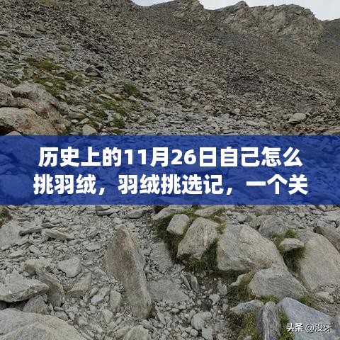 羽绒挑选记，友情、选择与温馨故事的交织在历史的这一天