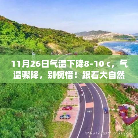 气温骤降，跟随自然脚步寻找内心宁静之旅