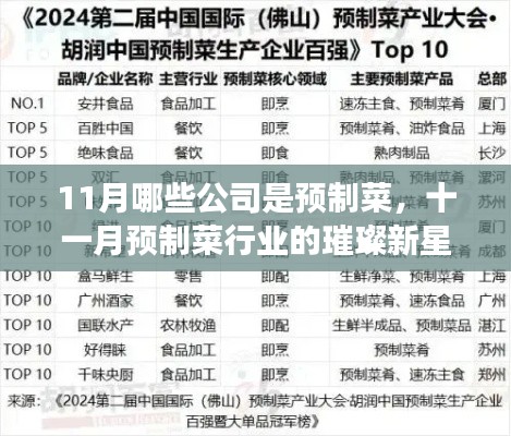 十一月预制菜行业新星闪耀，变革中的自信与成就力量