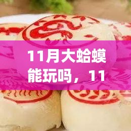 11月大蛤蟆的活跃季节与户外活动可行性探索