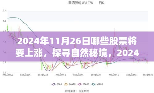 探寻自然秘境与股市上涨，揭秘2024年11月26日的股市行情与心灵之旅的交融时刻