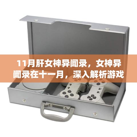 女神异闻录魅力与争议深度解析，十一月游戏热点聚焦
