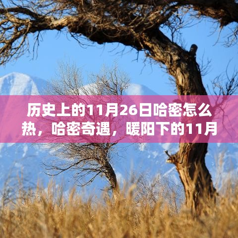 暖阳下的哈密奇遇，历史上的11月26日哈密气候揭秘