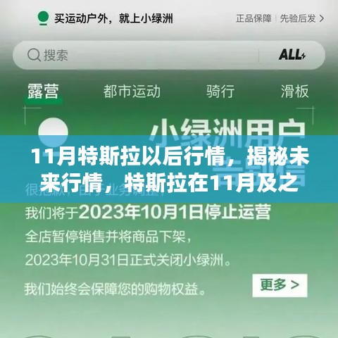 特斯拉未来行情揭秘，小红书带你洞悉11月及之后的动向
