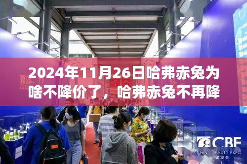 揭秘哈弗赤兔不再降价的原因，特色小店背后的故事与车市分析