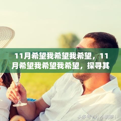 11月希望我希望我希望，11月希望我希望我希望，探寻其深层意义与个人观点