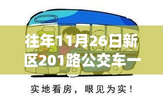 新区201路公交车，探寻自然美景的心灵之旅，追风逐日的时间表与美景体验之旅