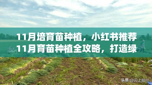 小红书推荐，11月育苗种植全攻略，打造绿意盎然的小天地！