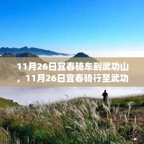 解决方案 第331页