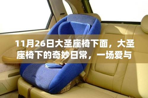 大圣座椅下的温馨之旅，日常奇妙与爱的陪伴