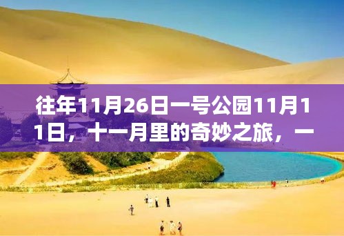 十一月奇妙之旅，一号公园的静谧探索与心灵之旅