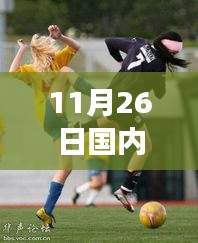 赛场温情闪耀，难忘的体育赛事日（11月26日回顾）