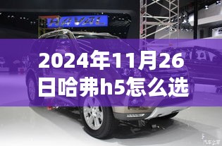 哈弗H5配置选择指南，2024年11月购车必备知识，教你如何选配置好的哈弗h5