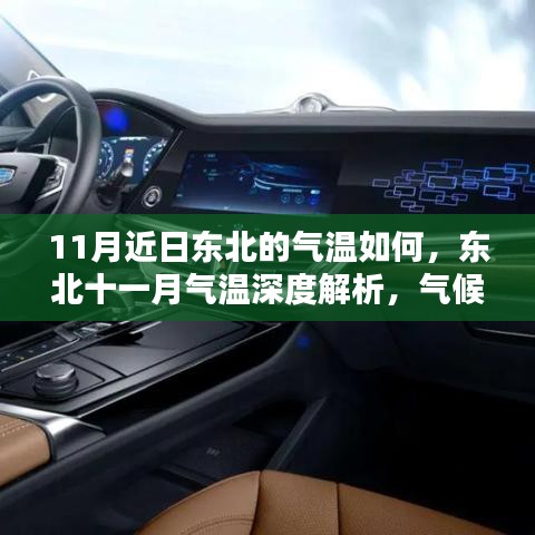东北十一月气候深度解析，气温、气候特点、竞品对比与用户体验探讨