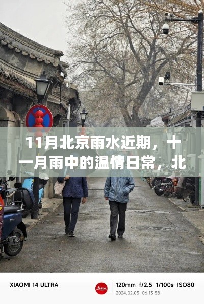北京胡同里的十一月雨情，温情日常与友情印记