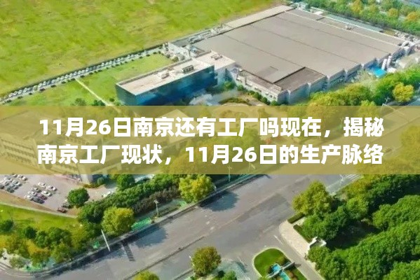 揭秘南京工厂现状，11月26日生产脉络与工厂现状探究