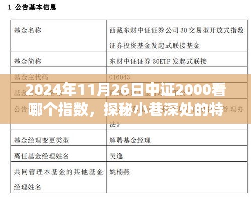 中证2000指数揭秘之旅，探寻小巷特色小店与指数动向的完美结合点