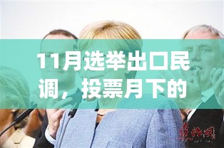 小杰与朋友们的心灵碰撞，11月选举出口民调之旅