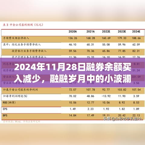 融融岁月中的小波澜，2024年11月28日融券余额买入减少与融券新体验