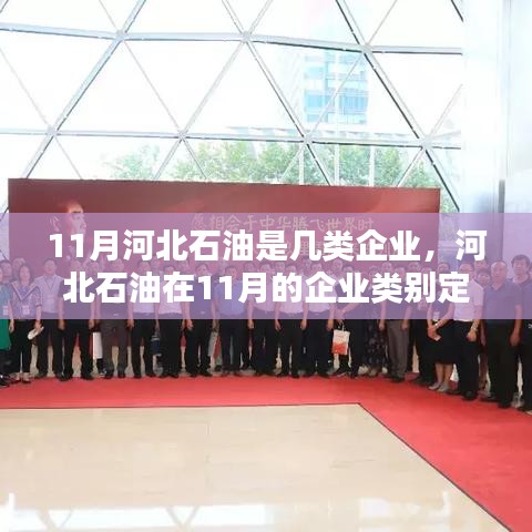 河北石油在11月的企业类别定位探讨，究竟属于哪一类企业？