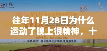 精神焕发之夜，十一月二十八日的运动历史回望与夜间活力之源