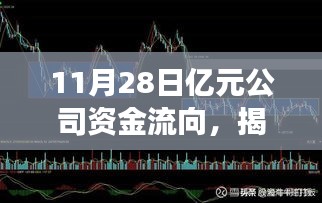 揭秘特色小店的逆袭之路，神秘资金走向揭示，亿元资金流向追踪报道