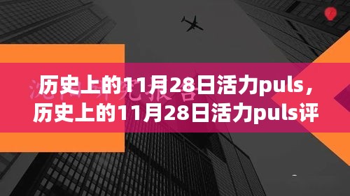 历史上的11月28日活力Puls深度解析，特性、体验、竞品对比及用户洞察