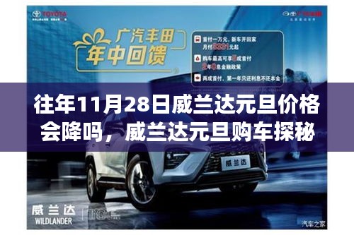 威兰达元旦购车探秘，历年价格走势与温馨购车体验之旅