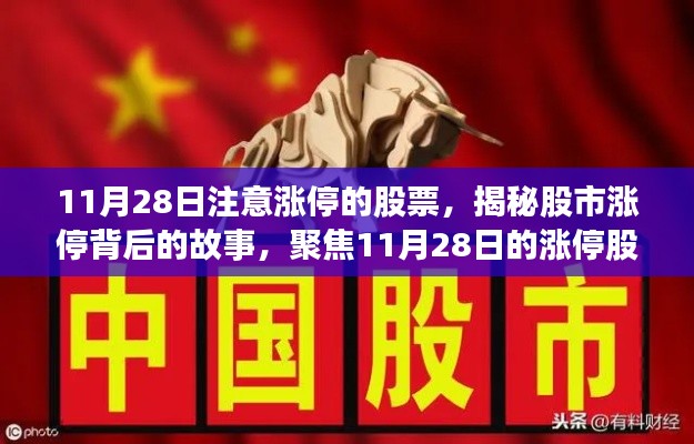 联系我们 第247页