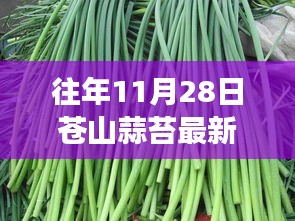 苍山蒜苔出库新篇章，往年价格回顾与成长力量的启示