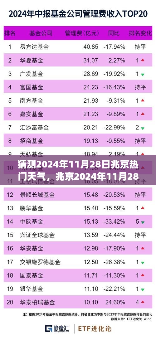 兆京天气预报揭秘，深度探究与预测分析，兆京热门天气展望2024年11月28日情况！