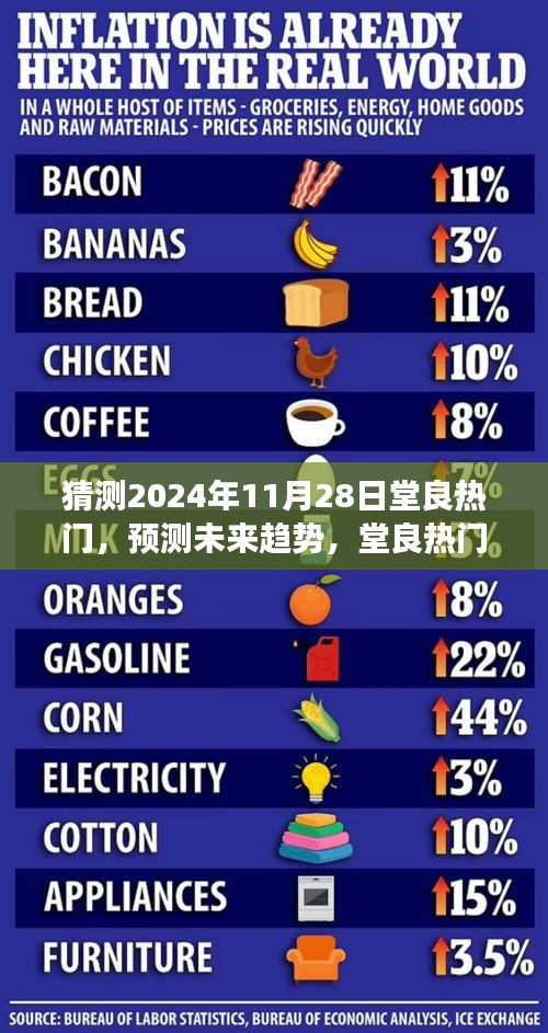 堂良热门预测与评测，2024年11月28日的趋势洞察与产品展望