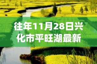 平旺湖畔奇遇日，最新动态与情感纽带下的温馨时光纪实报道