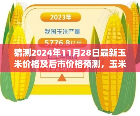 玉米情缘，揭秘未来价格预测与友情交织的故事，预测玉米最新价格及后市走势