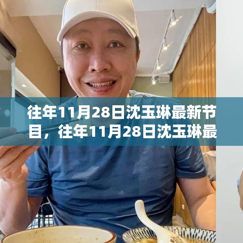 往年11月28日沈玉琳最新节目深度解析与观点阐述