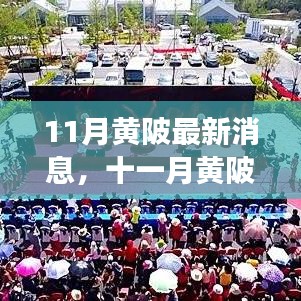 十一月黄陂美景之旅，与自然相遇，探寻内心宁静