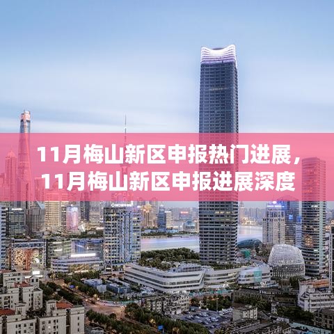 11月梅山新区申报进展深度解析与热门进展概览
