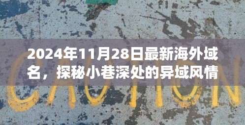 探秘寻常巷陌，异域风情小店新发现与海外域名揭秘（2024年11月28日）