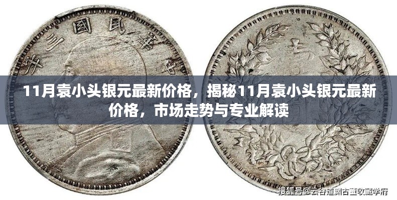 揭秘，11月袁小头银元最新价格及市场走势专业解读