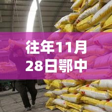 往年11月28日鄂中复合肥最新价格，探秘小巷深处的化肥情报站，往年11月28日鄂中复合肥最新价格揭秘