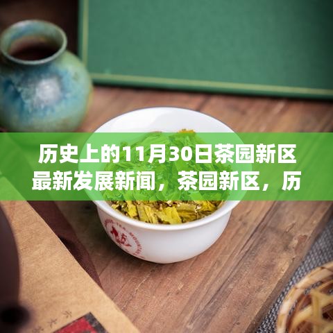 茶园新区，历史脉络下的最新发展纪实——11月30日新闻速递