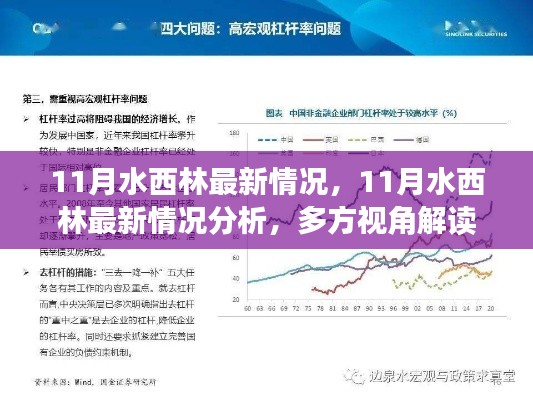 多方视角下的解读，水西林最新情况分析与我的观点阐述