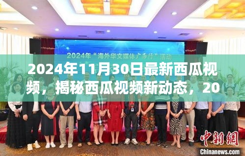 揭秘西瓜视频新动态，独特体验下的新篇章（2024年11月30日）