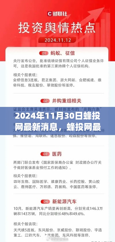 蜂投网最新动态深度解读，2024年11月30日最新消息